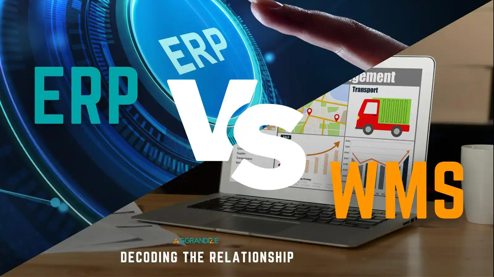 eRP Software business